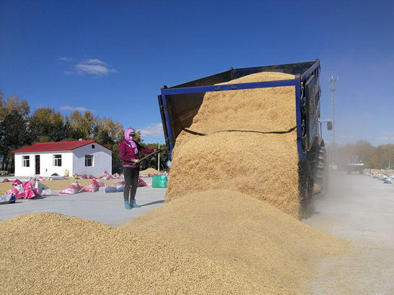 糧食容易受到哪些污染？