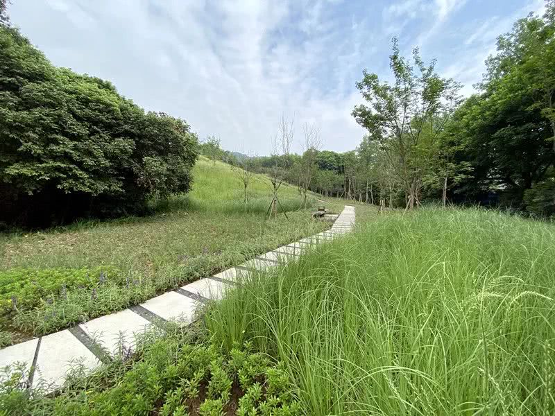 環境監測站節省成本、提**率