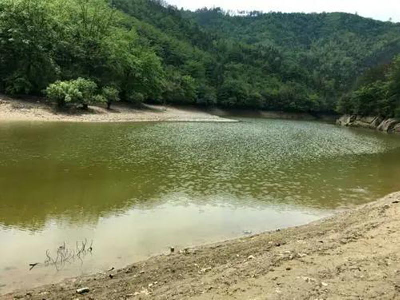 水產(chǎn)養(yǎng)殖檢測儀，為水源保護提供精準數(shù)據(jù)