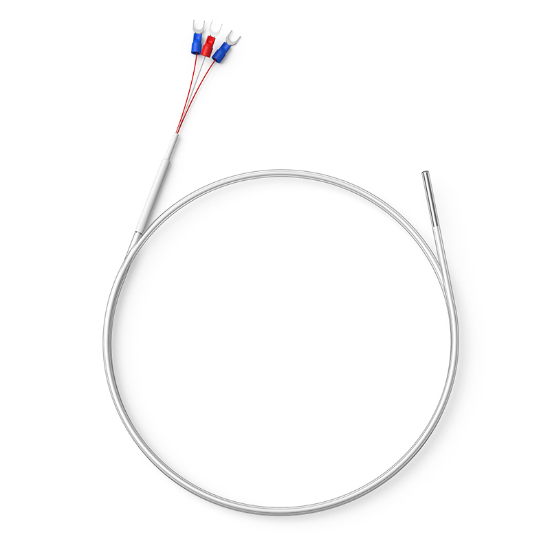 鐵氟龍熱電阻12_http://www.tanliwaw.cn_溫度儀表_第1張