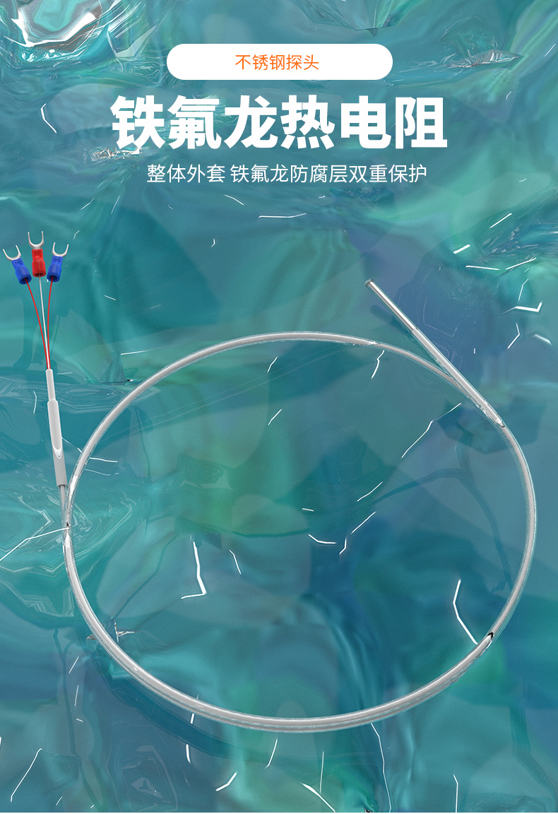 鐵氟龍熱電阻12_http://www.tanliwaw.cn_溫度儀表_第4張