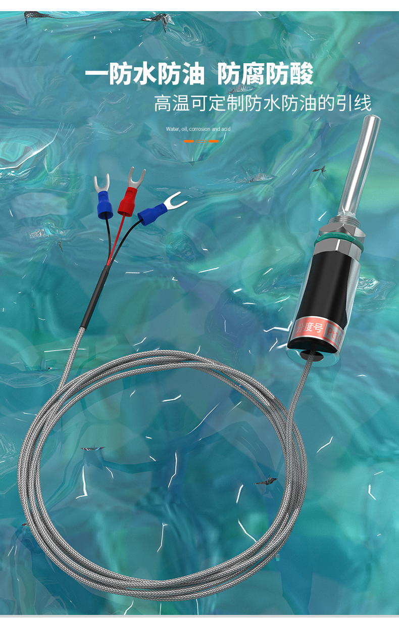 PT100溫度傳感器13_http://www.tanliwaw.cn_溫度儀表_第9張