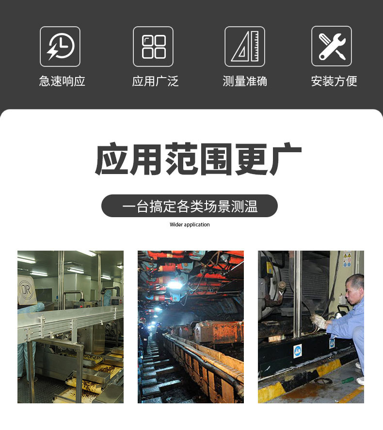 PT100溫度傳感器20_http://www.tanliwaw.cn_溫度儀表_第6張